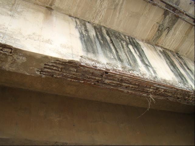 View of the Corrosion affected girders