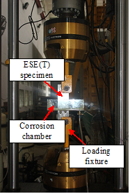Set-up for corrosion fatigue test on ESE(T) specimen