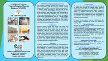 Online advanced course on Forensic analysis of concrete structures (FACS' 21)  - 11 to 12 February 2021